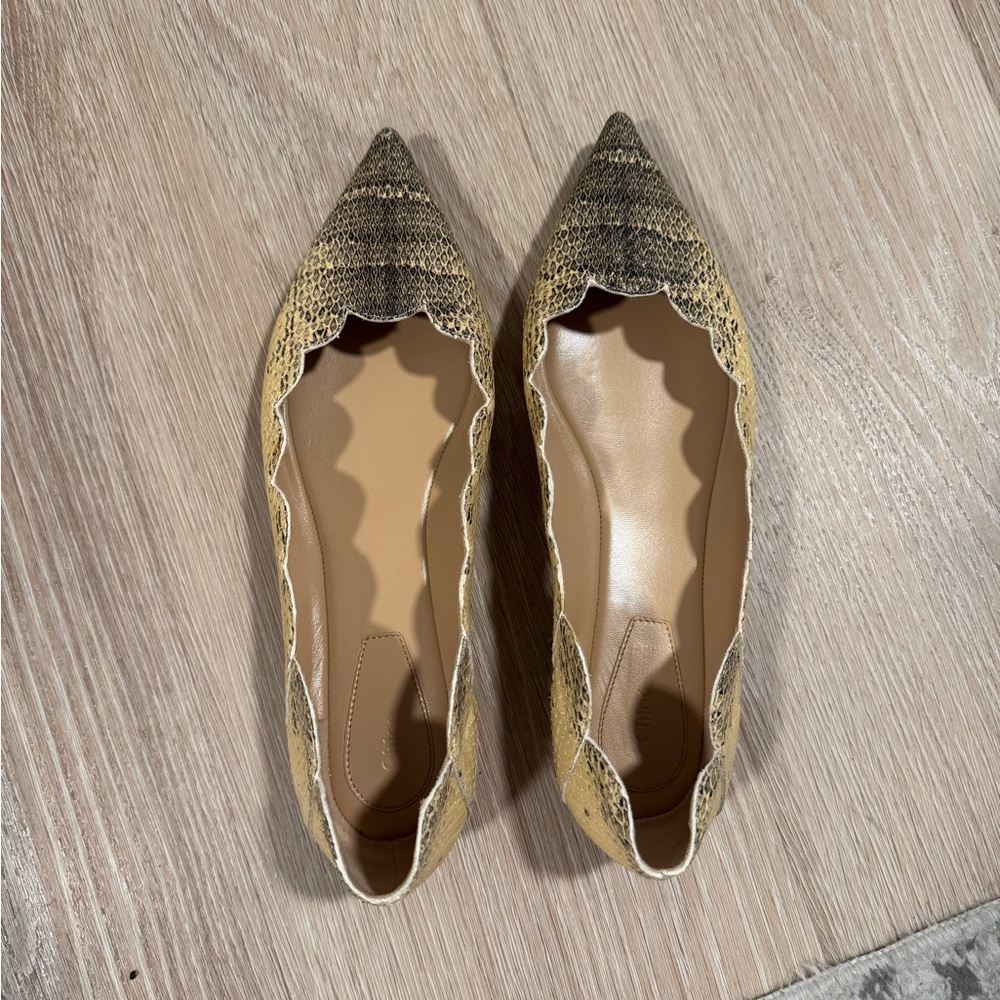 Chloe Buttery Yellow And Black Python Scalloped F… - image 1